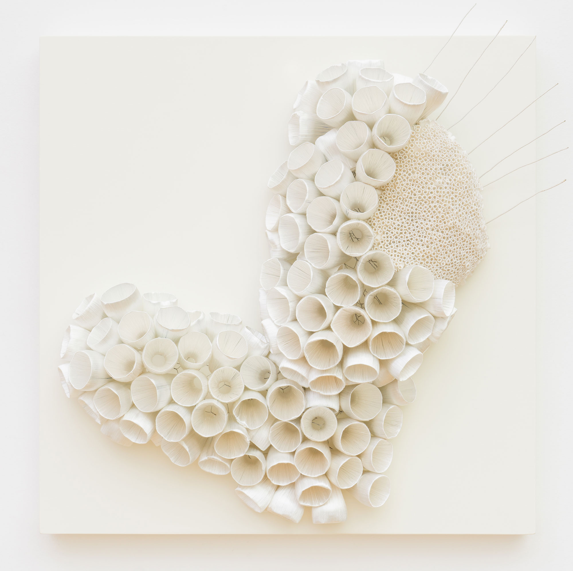 Ghizlane Sahli: Histoires de Tripes 077