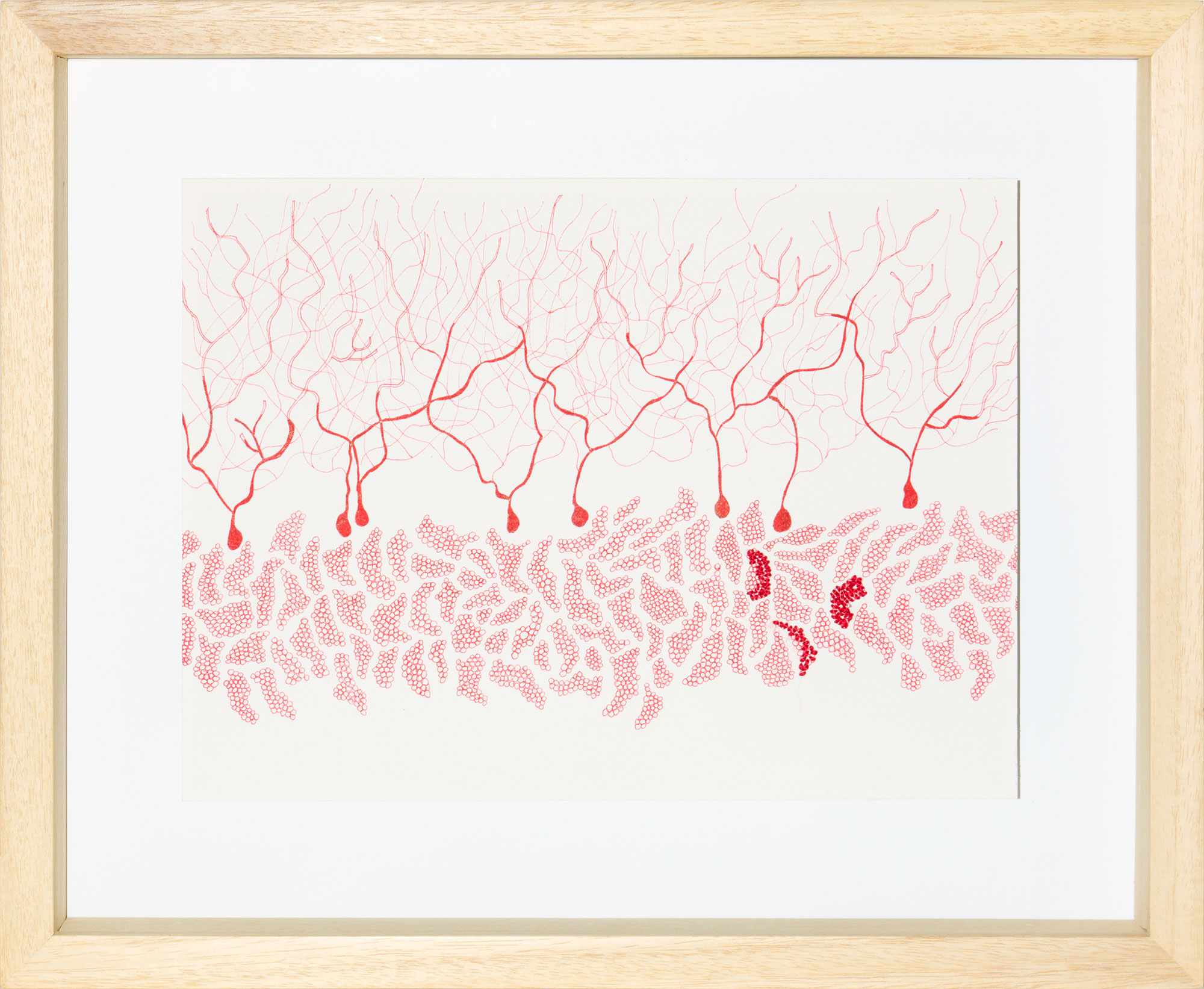 Ghizlane Sahli: Histoires de Tripes (Drawing 004)