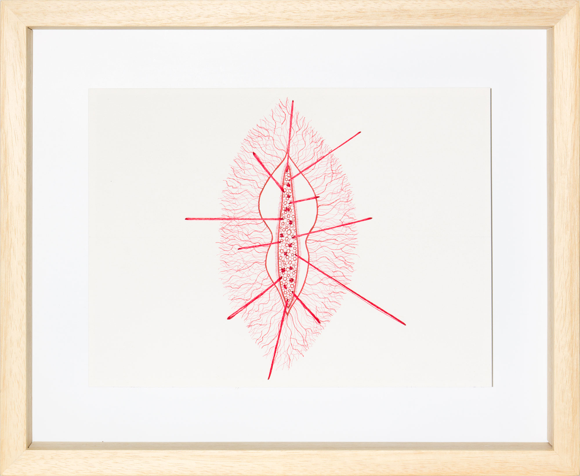 Ghizlane Sahli: Histoires de Tripes (Drawing 005)