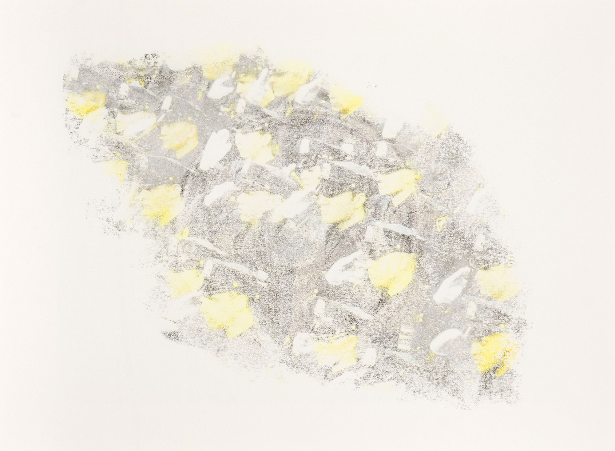 Kevin Demery: Untitled (Menagerie)