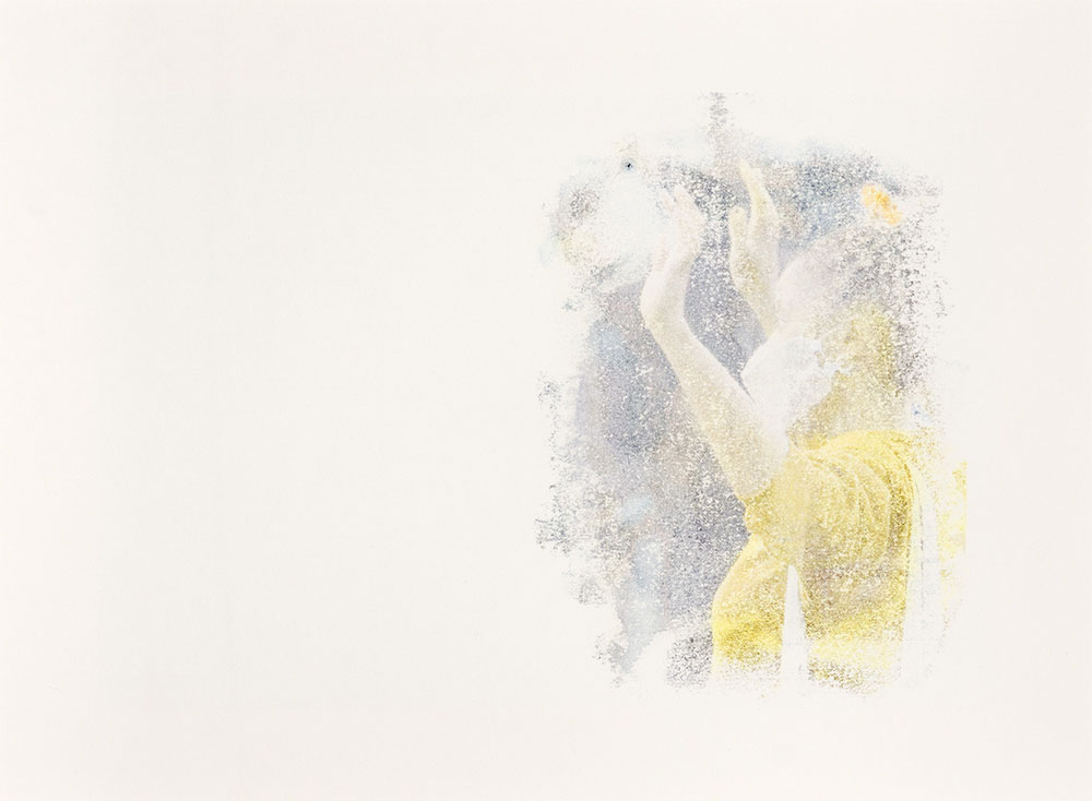 Kevin Demery: Untitled (Menagerie)