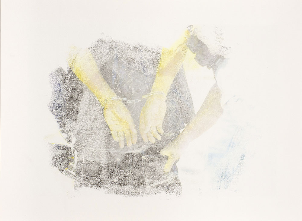 Kevin Demery: Untitled (Menagerie)