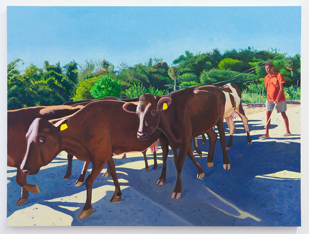 Raelis Vasquez: Never Mind Silent Fields