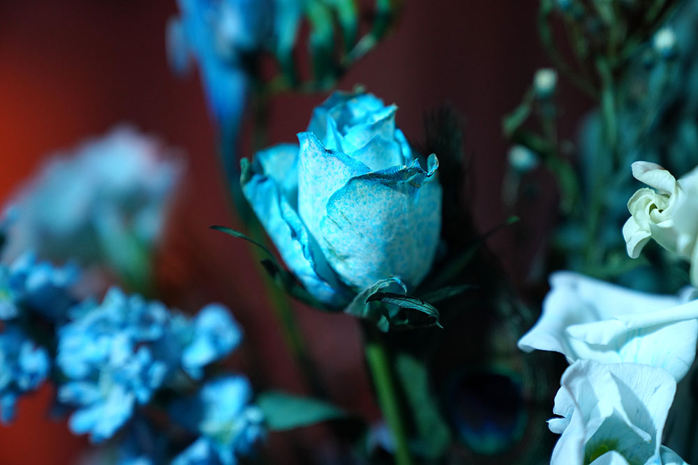 Sekai Machache: A Hint of Blue (Still Life)