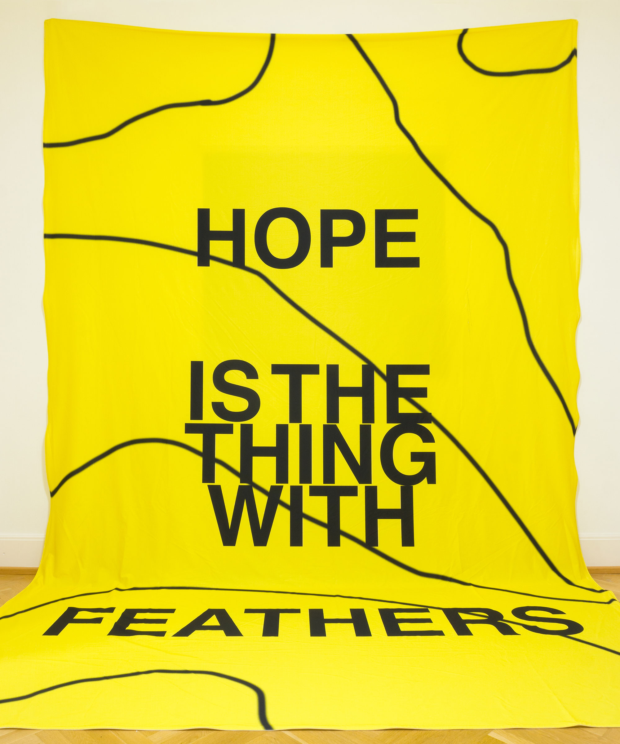 Larry Bon&cacute;haka & Sopo Kashakashvili: Hope Is the Thing With Feathers