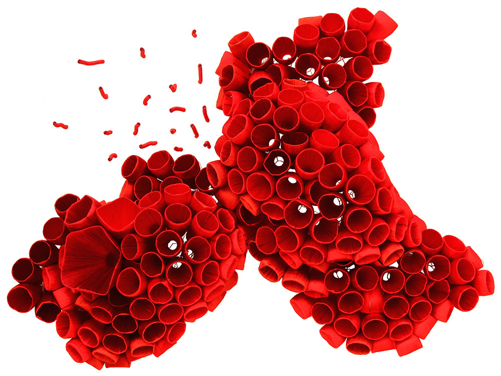 Ghizlane Sahli: Histoires de Tripes